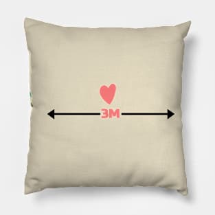 Bird Says Social Distancing 3M Please Pillow