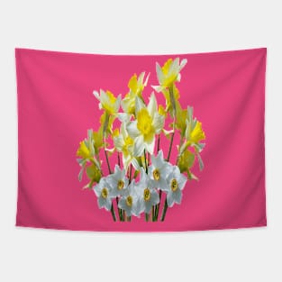 Yellow Daffodils And White Narcissi Isolated Tapestry