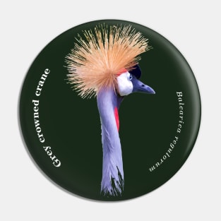 Grey crowned crane tropical bird pin white text Pin