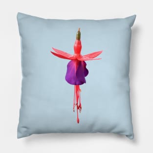 Fuchsia  FuchsiaBerry Pillow