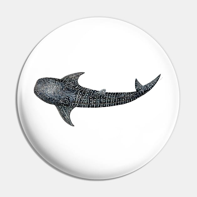 Whale shark Rhincodon typus for divers, animal lovers and fishermen Pin by chloeyzoard