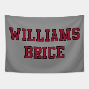 Williams-Brice Stadium Tapestry