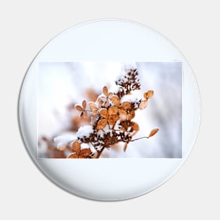 winter flowers Pin