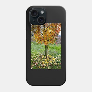 Apple tree in the autumn Phone Case