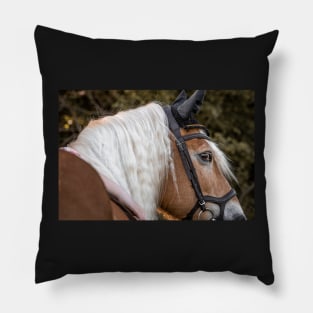 Haflinger with a dreamlike mane Pillow