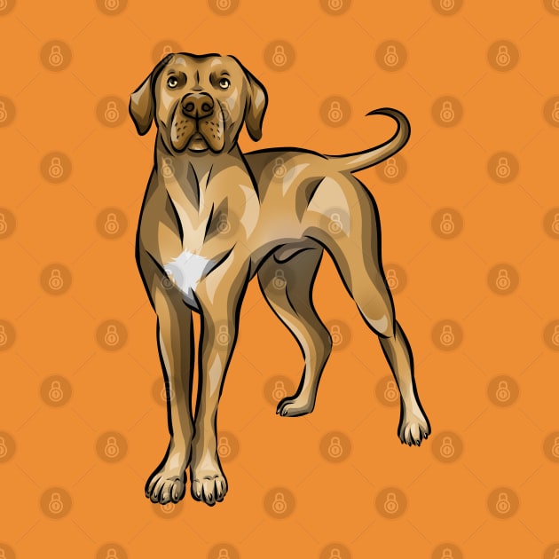 Cute Rhodesian Ridgeback Dog by Shirin Illustration