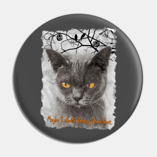 Random Cat Thoughts Pin