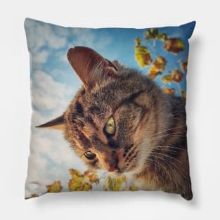 Cat outside portrait Pillow