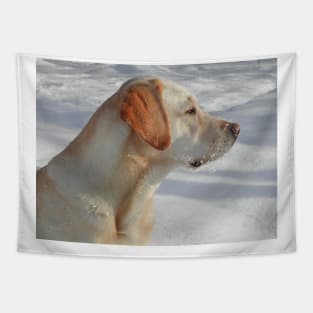 Labrador Retriever Yellow fourth Tapestry