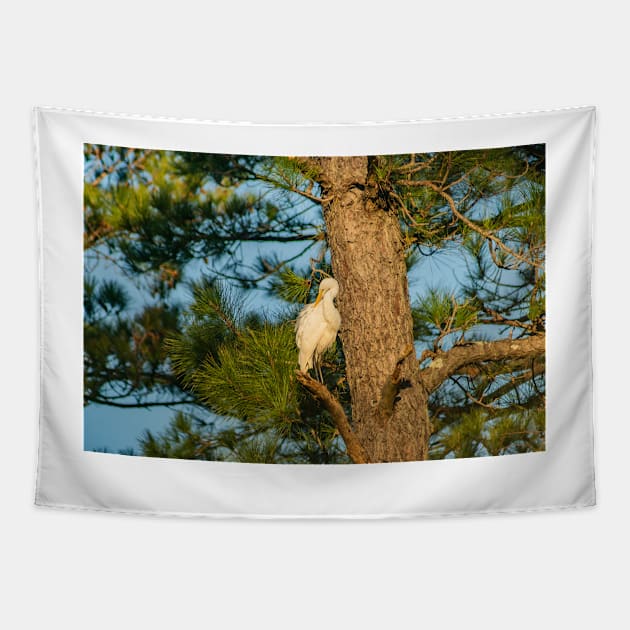 Wader Egret Tapestry by KensLensDesigns