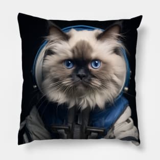 Astronaut Cat in Space - Ragdoll Pillow