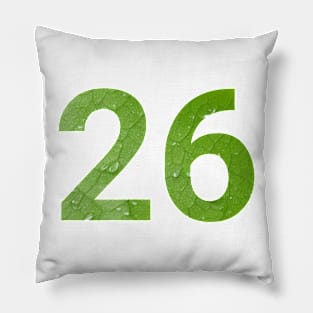 26 celebration day Pillow