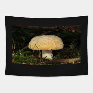 June Amanita Tapestry