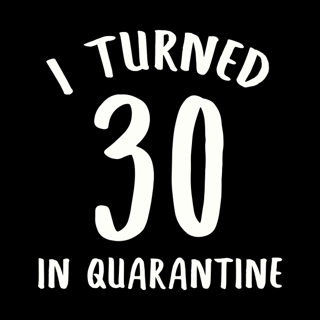 I Turned 30 In Quarantine by llama_chill_art