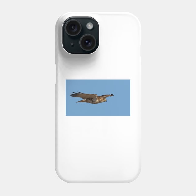 Glider - Red-tailed hawk Phone Case by Jim Cumming
