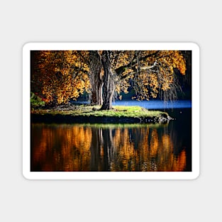 Stourhead Reflected Magnet