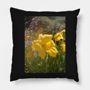 Yellow Daffodil Pillow