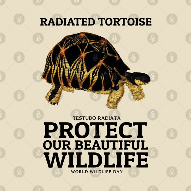 Radiated tortoise by KewaleeTee