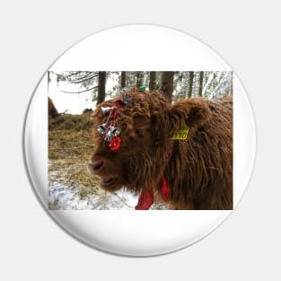 Scottish Highland Cattle Calf 1632 Pin