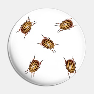 Potato beetles Pin