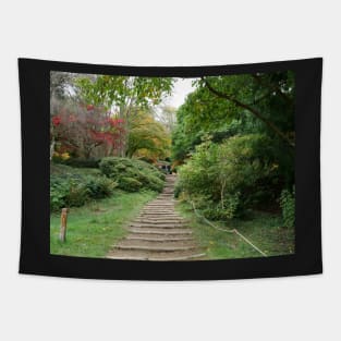 Azalea Steps Winkworth Arboretum Tapestry