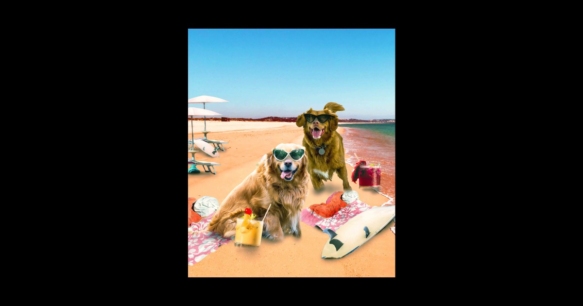 Funny Dog Beach Dog Sticker TeePublic