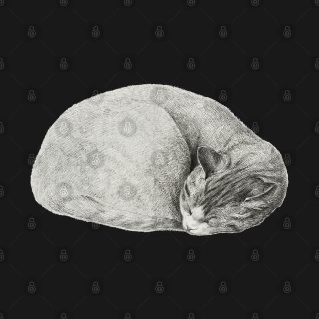 Rolled up lying, sleeping cat by Jean Bernard by Helgar