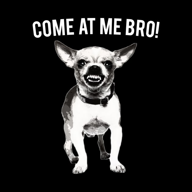 Come At Me Bro Chihuahua Dog Lover Dogs by fromherotozero