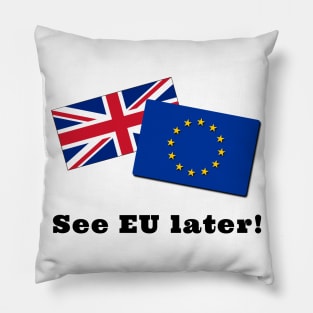 See EU Later Pillow