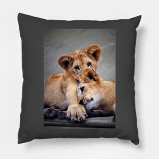 Lion Cubs Pillow