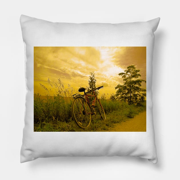 Biking at Sunset Pillow by ninasilver