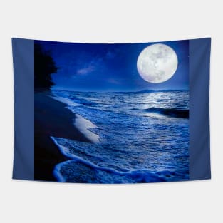 Moon At Night Winter Beach Sunset Ocean Beach Sunset Tapestry