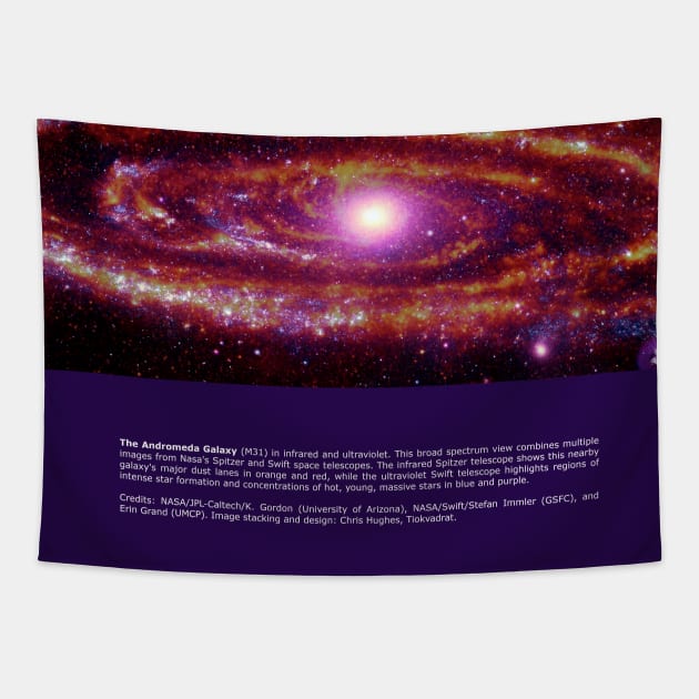 The Andromeda Galaxy in Ultraviolet and Infrared Tapestry by tiokvadrat