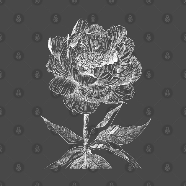 Ink - Peony Variation 2 by artofsuff