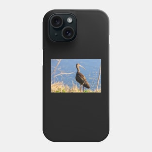 White-faced Ibis Phone Case