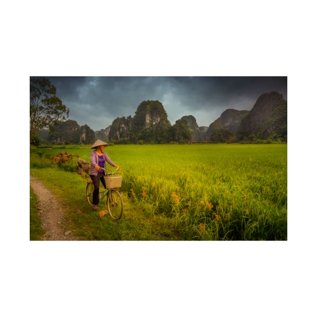 Vietnam rural scene near Tam Coc by dags