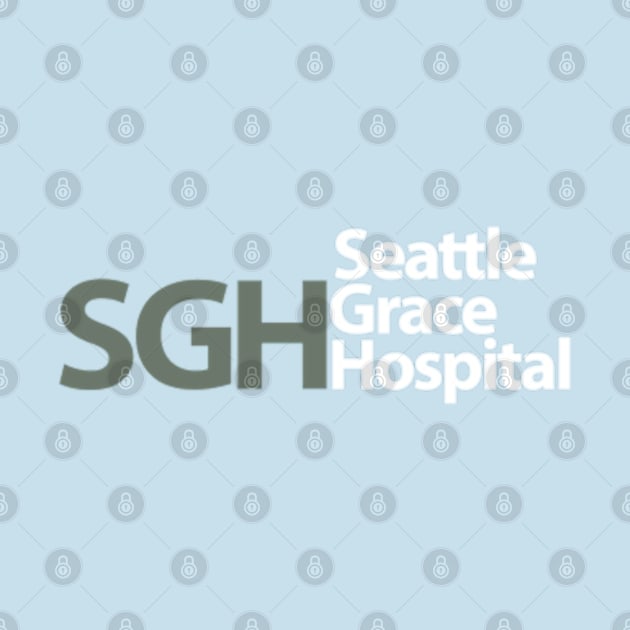 Seattle Grace Hospital by jordan5L