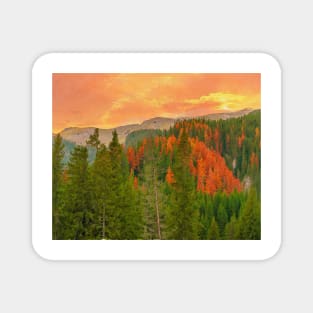 Autumn evening in Bucegi Mountains Magnet