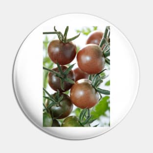 Solanum lycopersicum  &#39;Black Cherry&#39;  Cherry tomato Pin