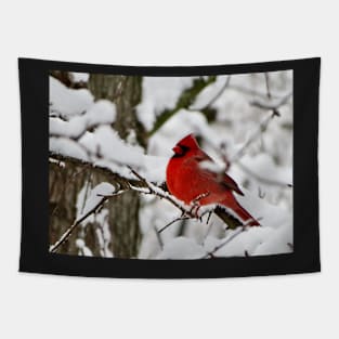 Winter Cardinal Tapestry