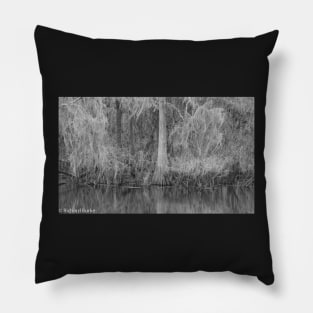 Lettuce Lake State Park--Winter Pillow