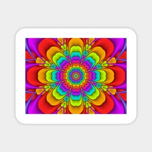 Colourful Concentric Rainbow Flower Magnet