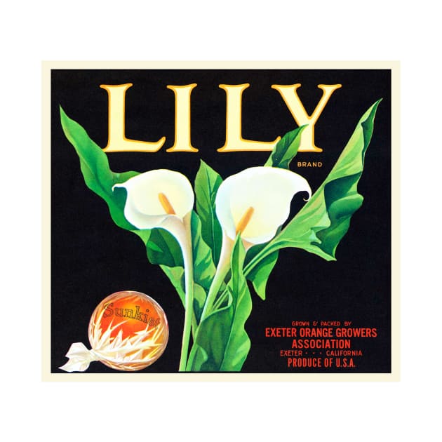 Lily Brand by WAITE-SMITH VINTAGE ART