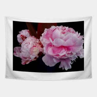 Pink Peonies Tapestry