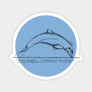 Cute Dolphin Magnet