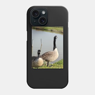 beautiful nature, wild geese, gift Phone Case