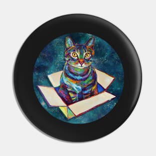 Cat in a Box Floating Through Space Pattern Pin