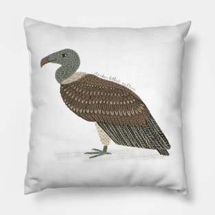 Slender-billed Vulture Pillow