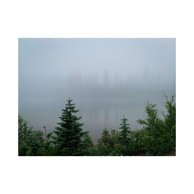 Fog at Mt Rainier by Ckauzmann