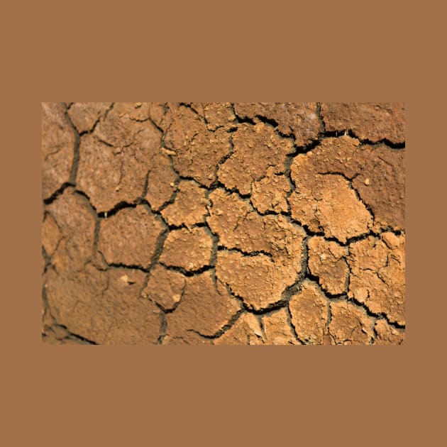 Dried soil texture by textural